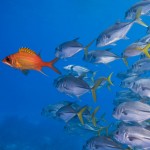 How to be a great leader