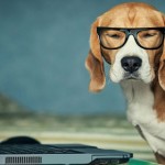 Success secret of 3 most popular blogs